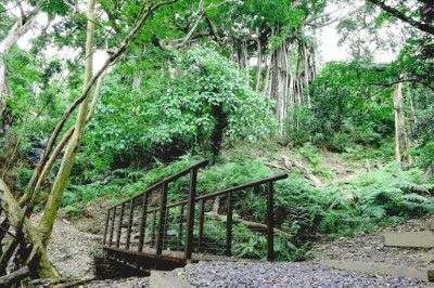 七里香步道 